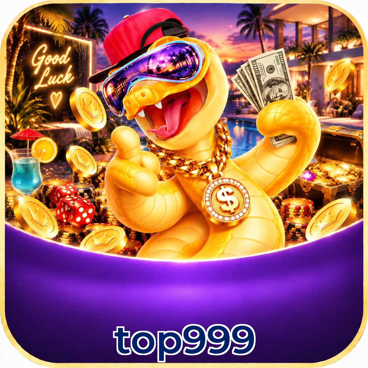 top999 VIP Program