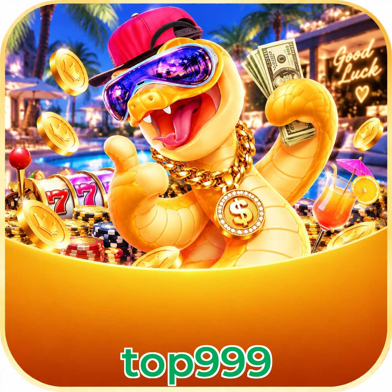 top999 Interface