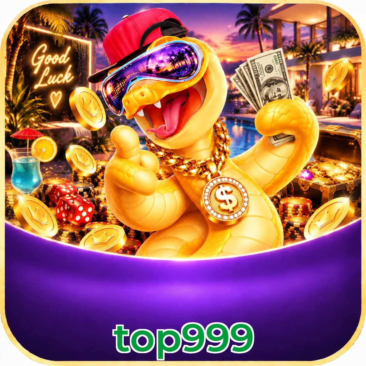 top999 System Requirements